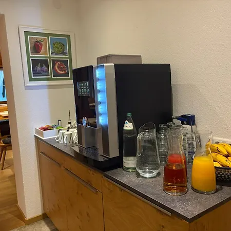 加尔尼塞恩酒店